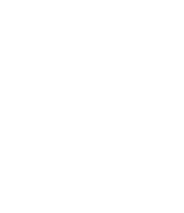 arizona icon