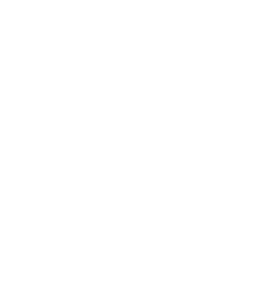 texas icon